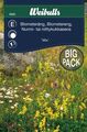 Blomstereng blanding big pack
